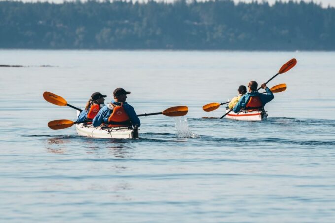 Telegraph Cove: Day Trip Kayaking Tour - Exploring Johnstone Strait