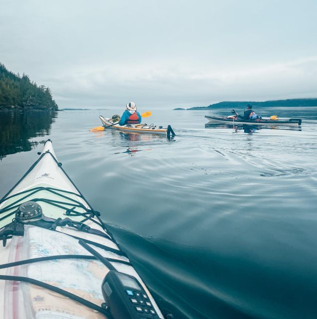 Telegraph Cove: Day Trip Kayaking Tour - Tailored for All Skill Levels