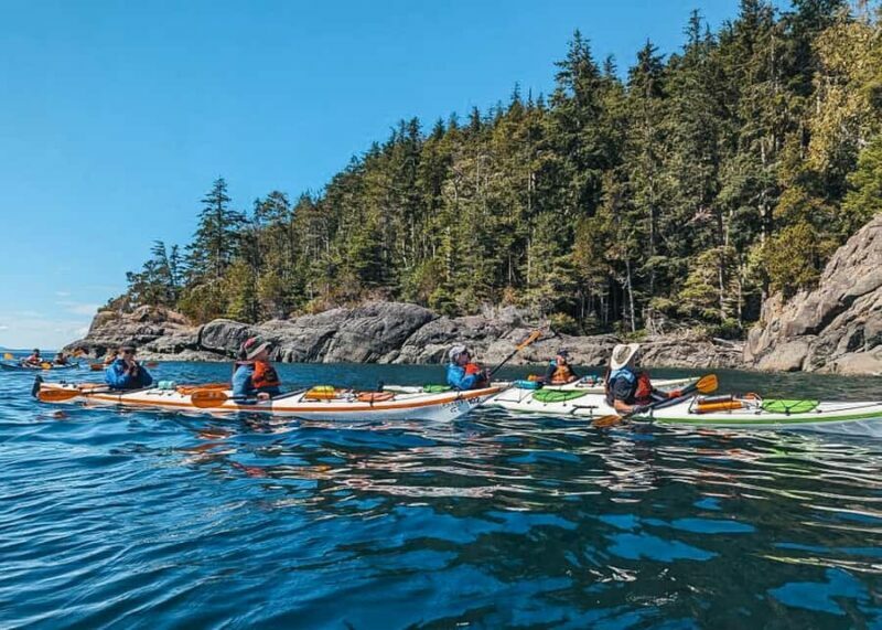 Telegraph Cove: Full-Day Trip Kayaking Tour - The Experience and Its Authentic Touch