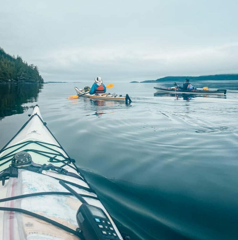 Telegraph Cove: Full-Day Trip Kayaking Tour - Who Is This Tour Best For?