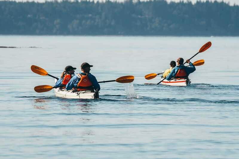 Telegraph Cove: Full-Day Trip Kayaking Tour - The Sum Up