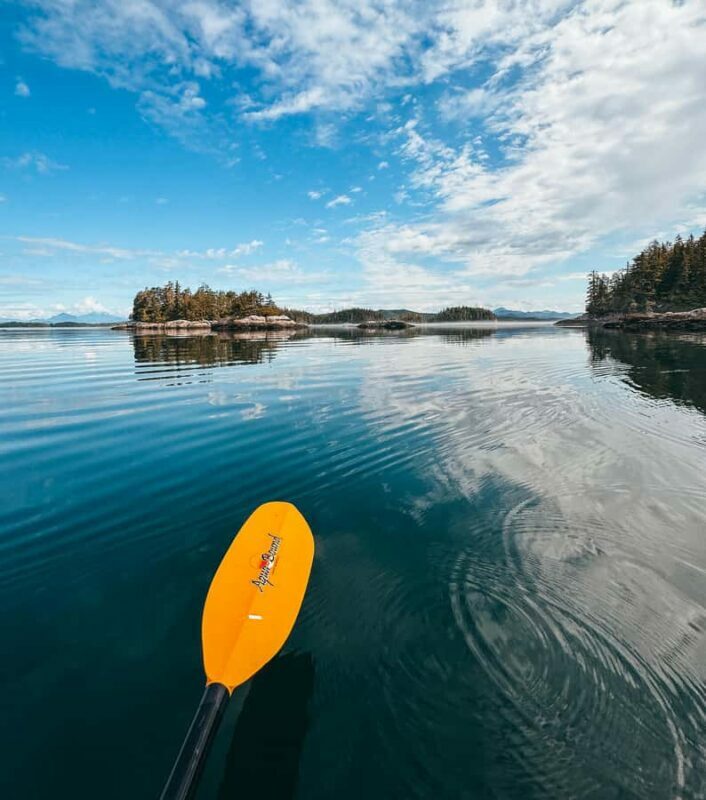 Telegraph Cove: Full-Day Trip Kayaking Tour - FAQ