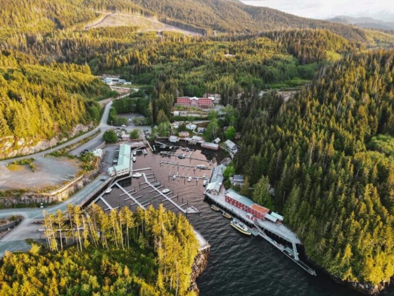 Telegraph Cove: Half-Day Kayaking Tour - Customer Reviews