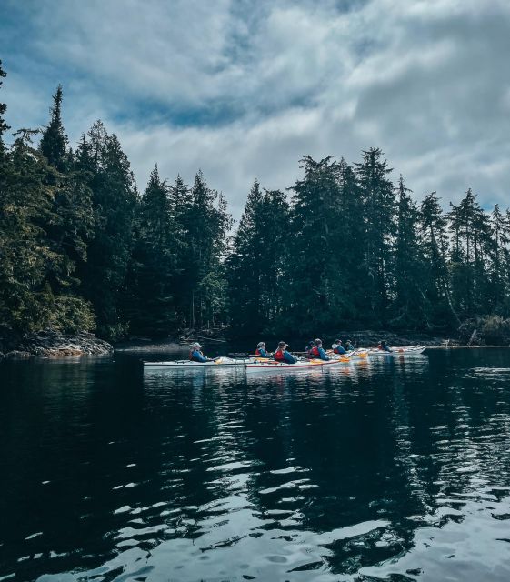Telegraph Cove: Half-Day Kayaking Tour - Reservation and Cancellation Policy
