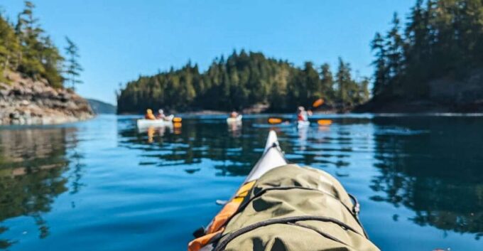 Telegraph Cove: Half-Day Kayaking Tour - Frequently Asked Questions