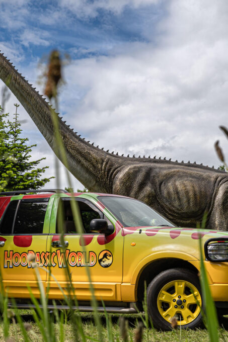 TELFORD: Hoo Zoo and Dinosaur World Entry Ticket - Exclusions and Limitations