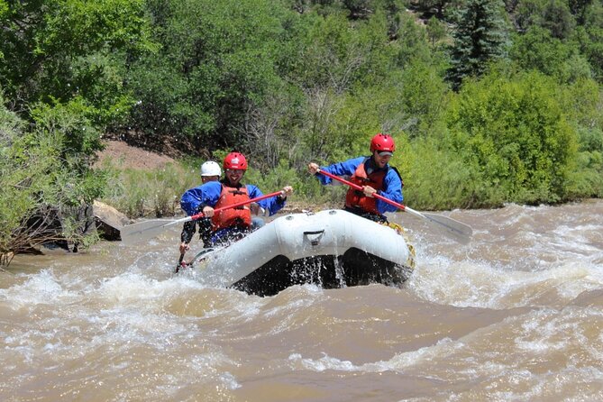 Telluride Afternoon Half-Day Rafting Tour on the San Miguel River - Inclusions
