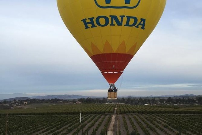 Temecula Shared Hot Air Balloon Ride - Highlights and Landmarks