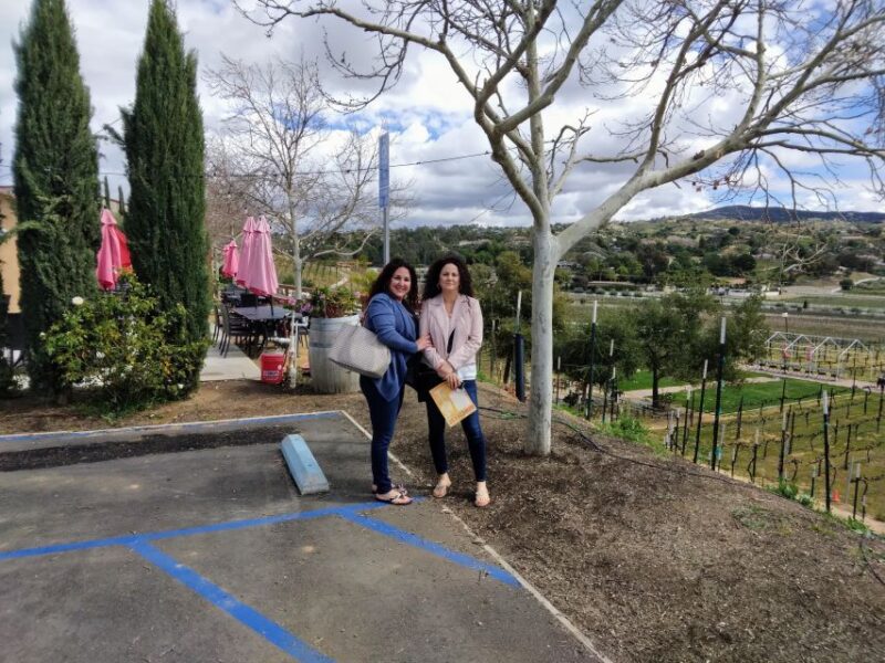 Temecula: Tour to 2-3 Temecula Wine Country Wineries - Experience Details