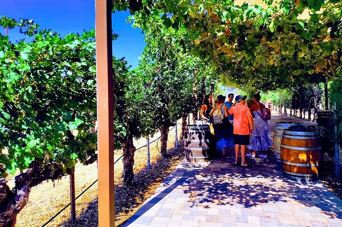 Temecula Wine Tour From Los Angeles - Mouthwatering Lunch and Pairings