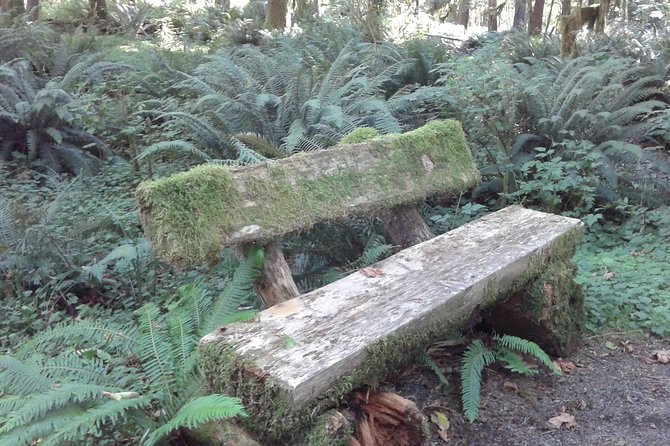 Temperate Rainforest Olympic Mountains - Seasonal Variations in the Landscape