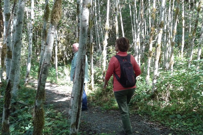 Temperate Rainforest Olympic Mountains - Planning Your Perfect Olympic Adventure