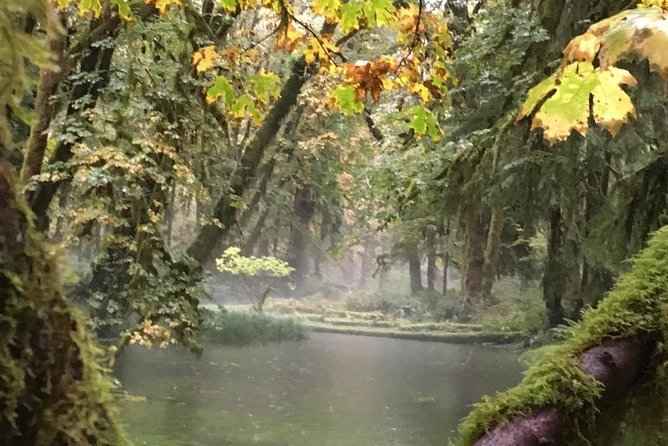 Temperate Rainforest Olympic Mountains - Hiking the Magnificent Olympic Mountains