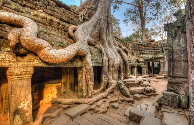 Temple and Culture - Key Points