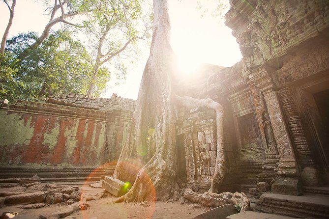 Temple and Culture - Photographic Opportunities