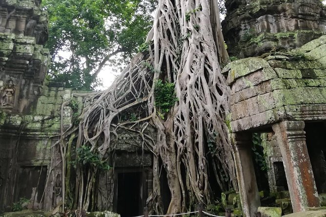 Temple Classic Tour-Small Circuit Tour of Angkor Archaeological Park-Siem Reap - Accessibility and Health
