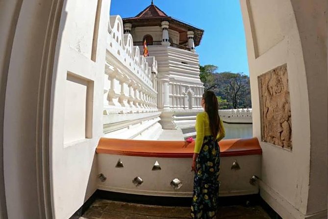 Temple of the Tooth & Royal Botanical Gardens Tour - Pickup and Confirmation