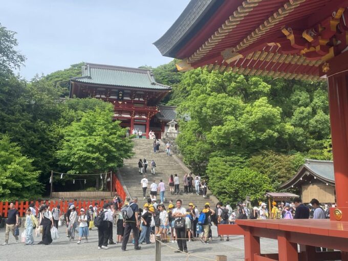 Temple Tour in Kamakura, The Samurai Capital - Tour Logistics