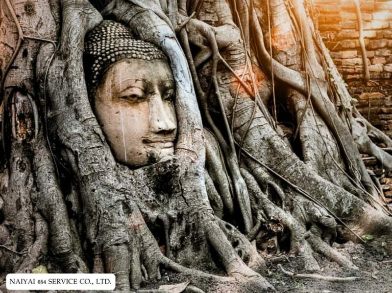 Temple Visits in Ayutthaya and a Walk Through History. - Key Points