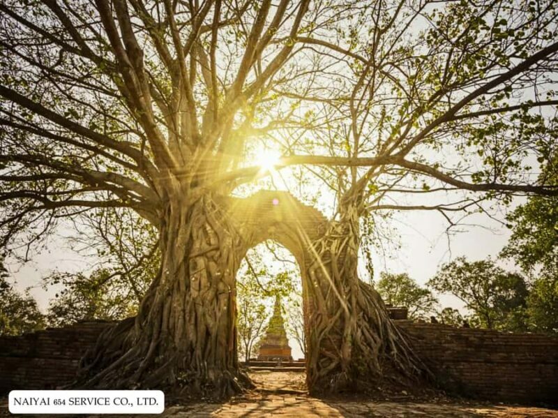 Temple Visits in Ayutthaya and a Walk Through History. - The Highlights: From Buddha Heads to Reclining Statues