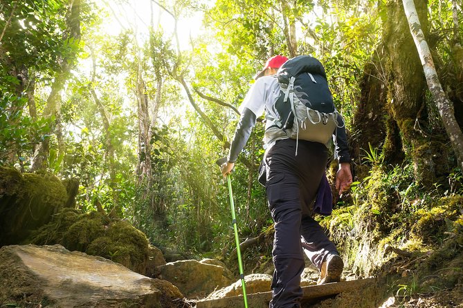 Templer Park and Kanching Waterfall Tour With Batu Caves Stopover - Inclusions and Tour Details