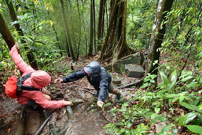 Templer Park and Kanching Waterfall Tour With Batu Caves Stopover - Booking and Pickup Information