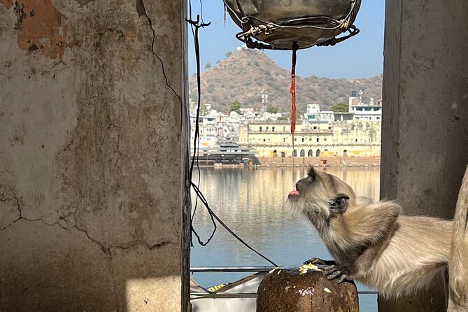 Temples Walk Around 52 Ghats ( Spiritual Tour )-The Pushkar Route - Spiritual Connections in Pushkars Temples
