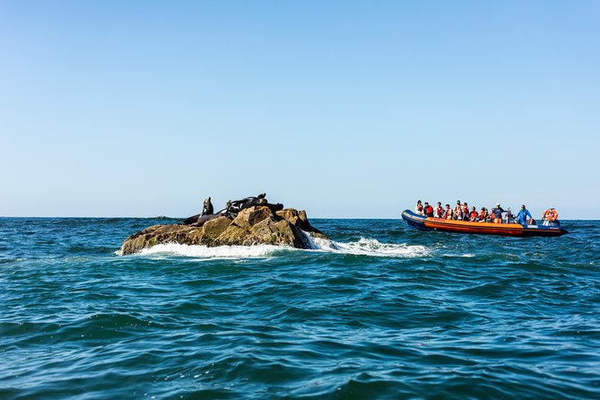 Ten Islands Expedition - Refreshments and Snorkeling Gear