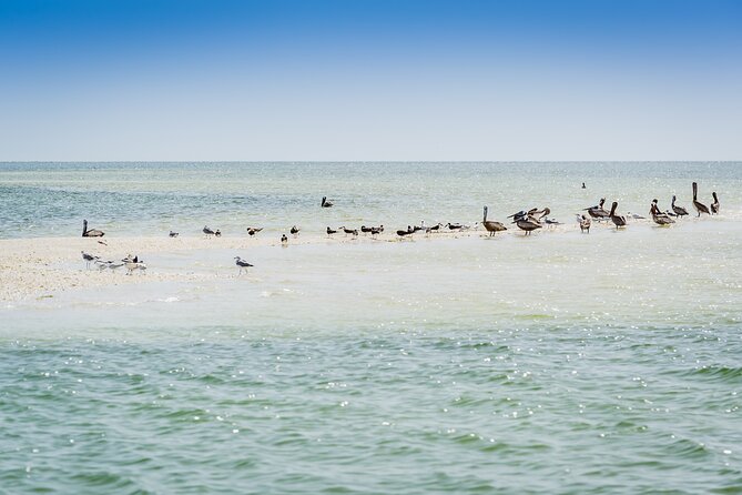 Ten Thousand Island Jet Ski Eco Tour - Marco Island - Accessibility and Restrictions