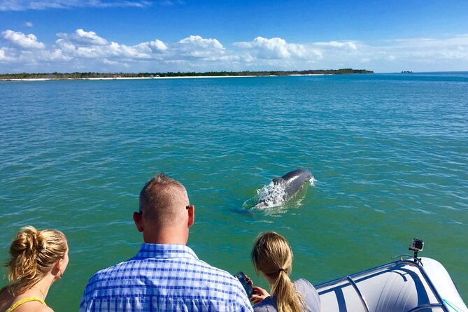 Ten Thousand Islands Boat Tour up to 12 People - Additional Information