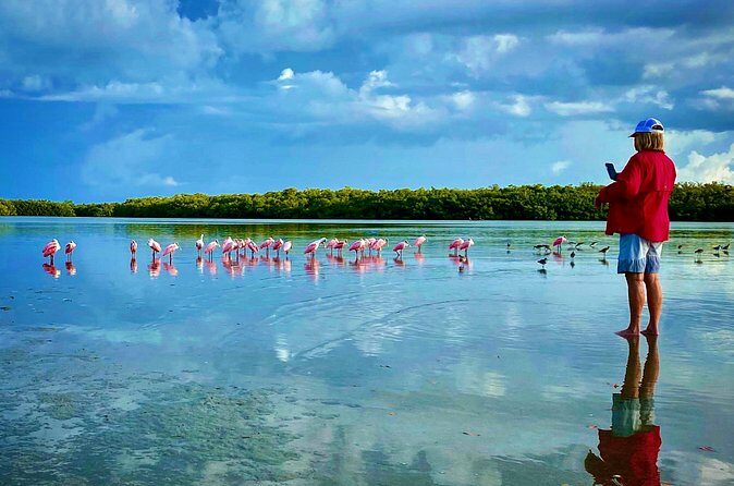 Ten Thousand Islands Eco/Dolphin Tour - The Sum Up