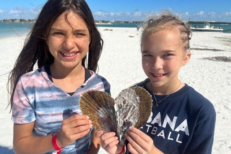 Ten Thousand Islands Shelling Tour - Experience Highlights