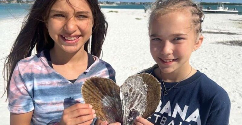 Ten Thousand Islands Shelling Tour - Parking and Transportation