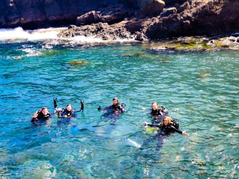 Tenerife: 2-Dive Private Scuba Discovery Course - Highlights of the Dives