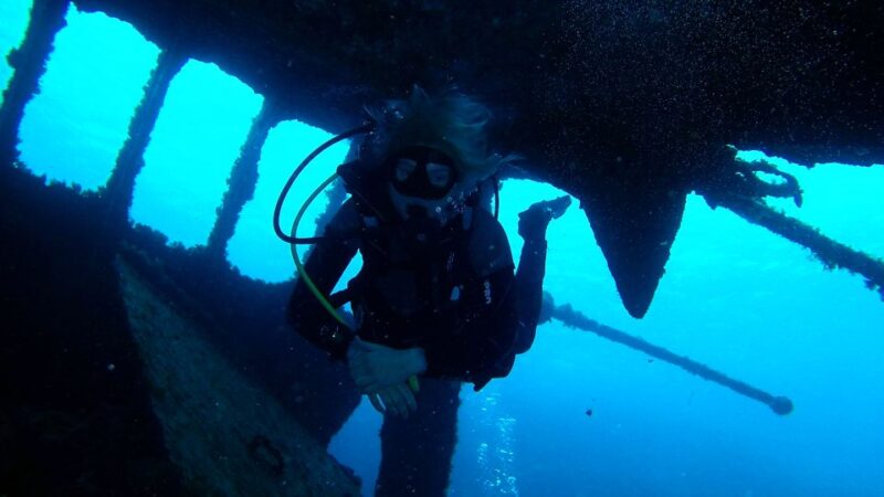 Tenerife: 2 Diving Sessions for Certified Divers - Diving Locations and Experiences