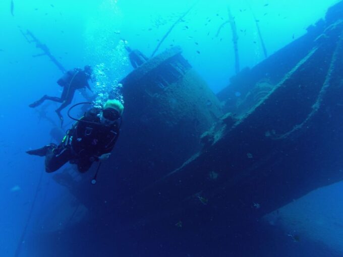 Tenerife: 2 Diving Sessions for Certified Divers - Marine Life and Ecosystems