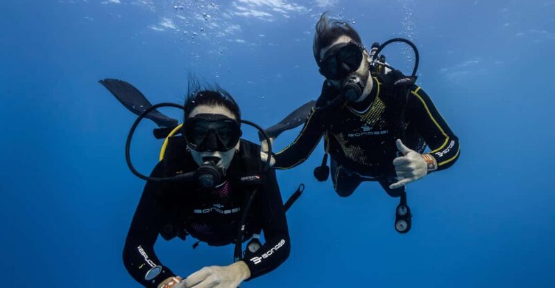 Tenerife - 2 Guided Dives for Certified Divers - Half Day - Key Points
