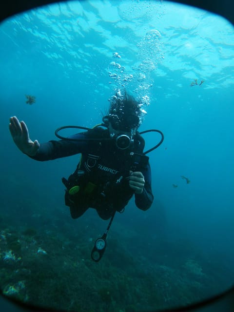 Tenerife - 2 Guided Dives for Certified Divers - Half Day - Inclusions