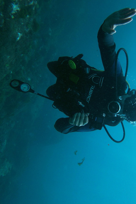 Tenerife - 2 Guided Dives for Certified Divers - Half Day - Safety and Requirements