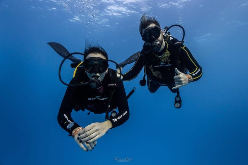 Tenerife - 2 Guided Dives for Certified Divers - Half Day - Post-Dive Restrictions