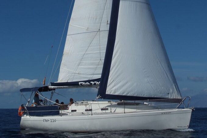 Tenerife: 3 &-6 Hour Private Whale & Dolphin Watching - Private Group Experience