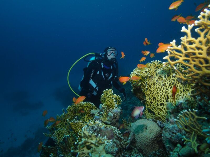Tenerife: 3-Day Open Water Scuba Diver Course - Closed Water Skills
