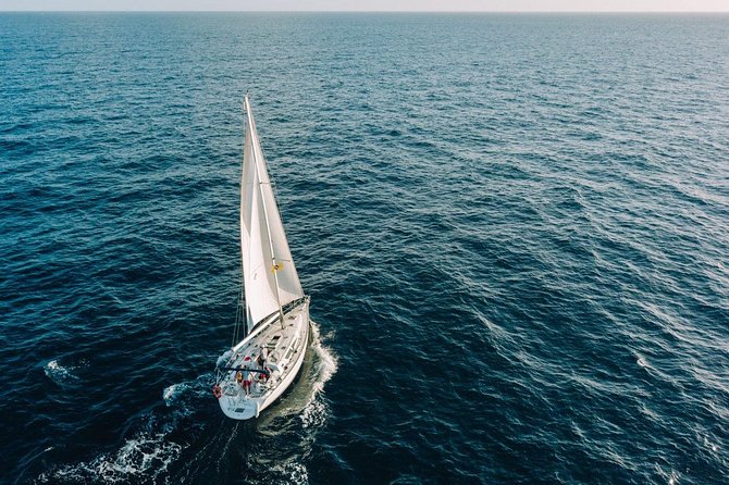 Tenerife 3-Hour Discover Whales and Dolphins - Snorkeling Equipment Provided