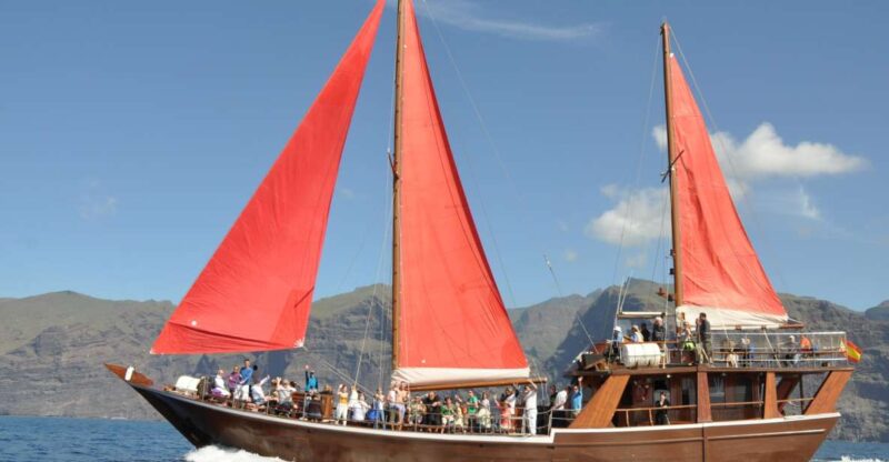 Tenerife: 5-Hour Whales and Dolphins Tour - Key Points