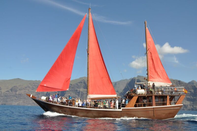 Tenerife: 5-Hour Whales and Dolphins Tour - Itinerary and Activities