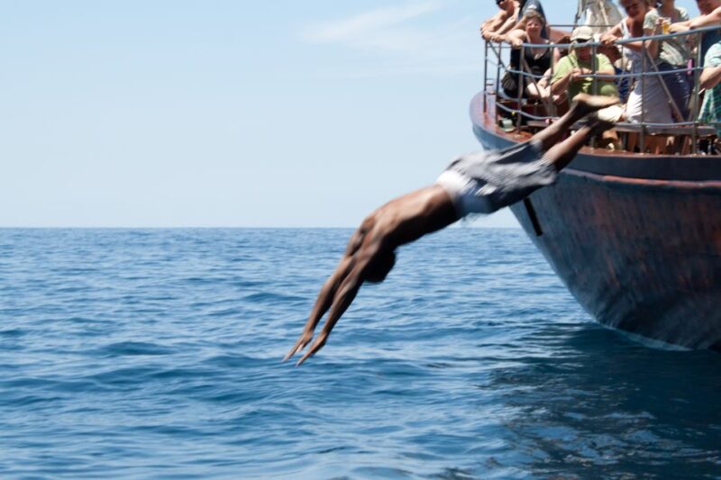 Tenerife: 5-Hour Whales and Dolphins Tour - Departure and Return