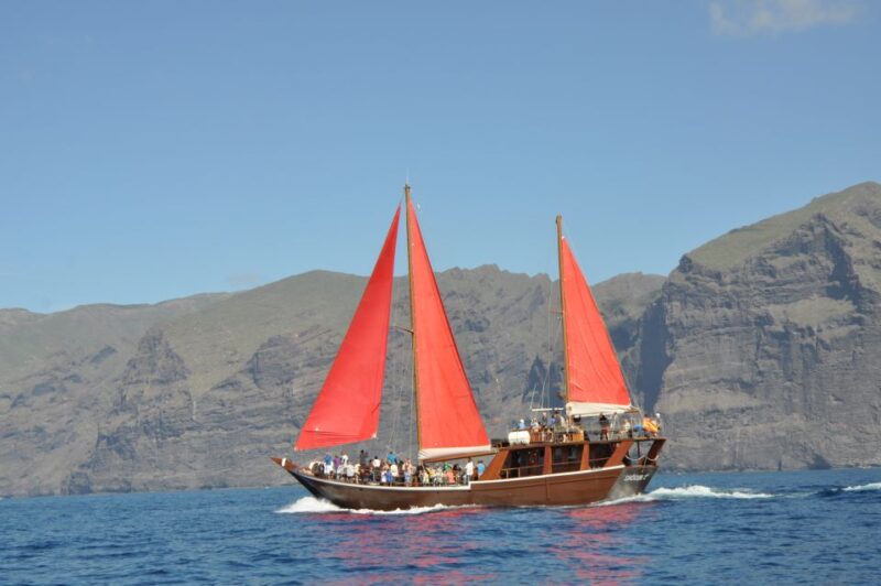 Tenerife: 5-Hour Whales and Dolphins Tour - Transportation Details