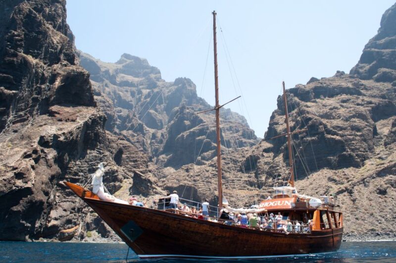 Tenerife: 5-Hour Whales and Dolphins Tour - What to Bring