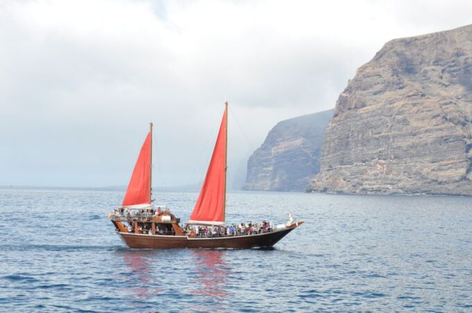 Tenerife: 5-Hour Whales and Dolphins Tour - Free Cancellation