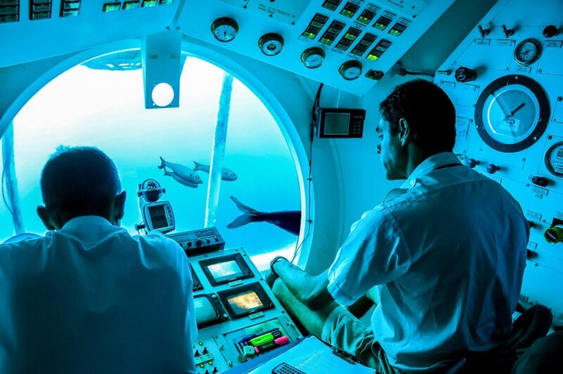 Tenerife: 50-Minute Submarine Dive - Marine Life Highlights